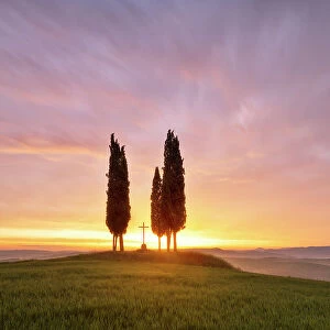 San Quirico d'Orcia during a spring sunrise, San Quirico d'Orcia, Siena Province, Tuscany, Italy
