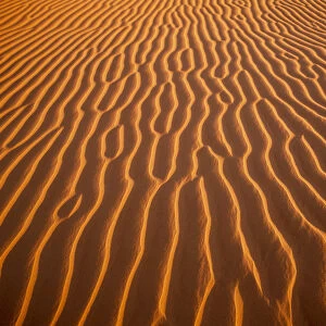 Sand Dune Patterns, Algondones Dunes Wilderness, California, USA