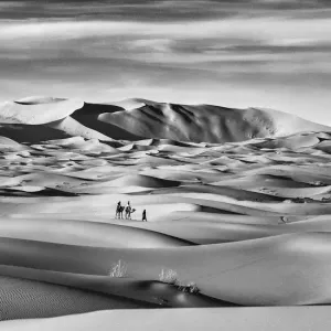 Erg Chebbi Sahara Morocco Black and White Print Erg Chebbi Sahara Morocco Black and White Print