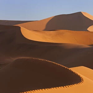 Sand dunes, Namib Naukluft National Park, Namibia