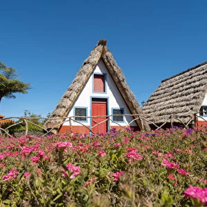 Santana traditional houses, Madeira island, Portugal, Europe