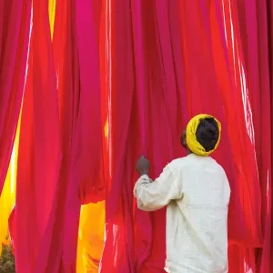 Sari Factory Print: Textiles Dried on Bamboo Rods