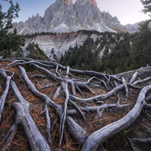 The Sass de Putia takes the last light of the day during an autumn sunset. Passo delle Erbe, Dolomites, Italy