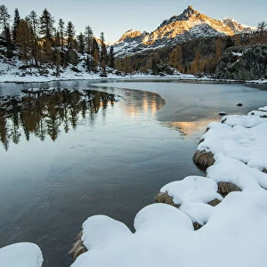 Sasso Moro peak at dawn reflects itself on the iced waters of Mufule Lake. Valmalenco