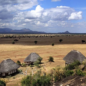 Savanna, Kidepo national park, Uganda, East Africa