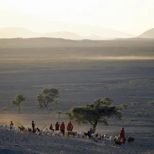 The scene at a Msai manyatta south of Lake Natron