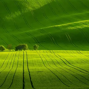 Scenic view of green rolling hills near Kyjov, Hodonin District, South Moravian Region, Moravia, Czech Republic