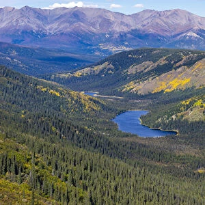 Scenic view of Triple Lakes and green forest, Denali National Park And Preserve