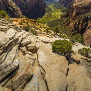 Scenic view of Zion canyon taken from Angels Landing, Zion National Park, Utah, USA