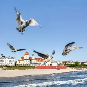 Seagulls and Kurhaus, Binz, RAogen Island, Mecklenburg-Western Pomerania, Germany