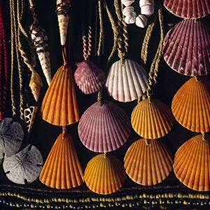 Seashell necklaces