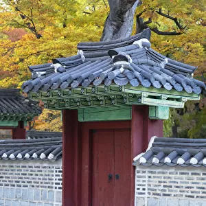 Secret Garden in Changdeokgung Palace (UNESCO World Heritage Site), Seoul, South Korea