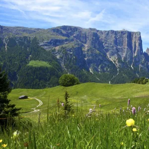 Seiser Alm, Trentino, South Tyrol, Italy