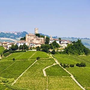 Serralunga d Alba, Barolo wine region, Langhe, Piedemont, Italy