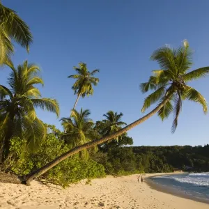 Anse Takamaka Beach Print Anse Takamaka Beach Print