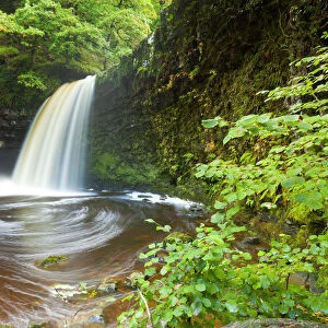 Sgwd Gwladus or Lady Falls, Afon Pyrddin River, near Pontneddfechan, Breacon Beacon