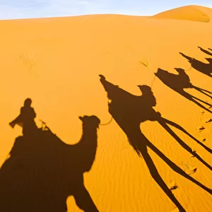 Shadows of riders and camels in Sahara desert, Erg Chebbi, Morocco