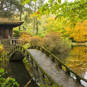 Shinto Shrine & Bridge, Tatton Park, Cheshire, England
