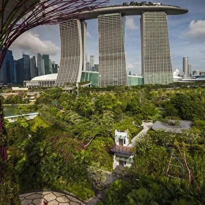 Singapore, Gardens By The Bay, Super Tree Grove, elevated walkway view with the Marina