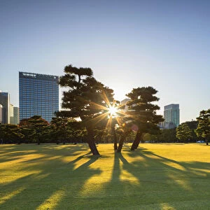 Skyscrapers of Marunouchi and gardens of Imperial Palace at sunrise, Tokyo, Japan