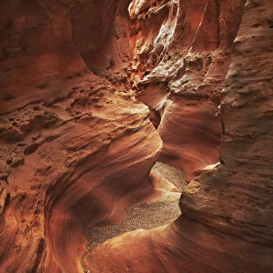 Slot canyon Little Wildhorse Canyon - USA, Utah, Emery, Little Wildhorse Canyon