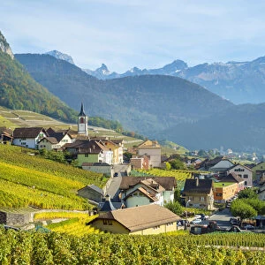 Small town of Yvorne surrounded by vineyards, Vaud Canton, Switzerland