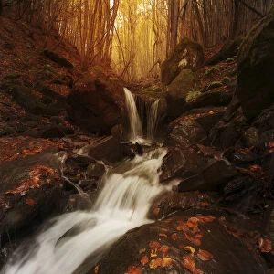 Small water stream in fall running through the Appennines in Emilia Romagna, Italy