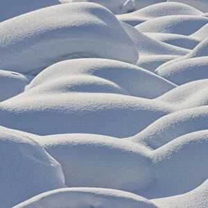 Snow-covered Boulders, Jasper National Park, Alberta, Canada