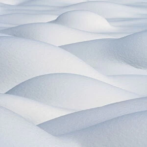 Snow Designs, Jasper National Park, Aberta, Canada
