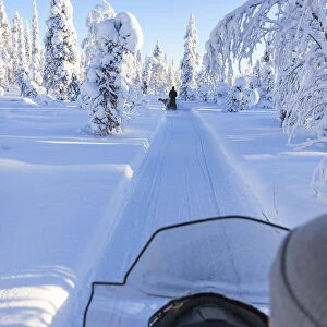Snowmobile in the snowy woods, Kuusamo, Northern Ostrobothnia region, Lapland, Finland