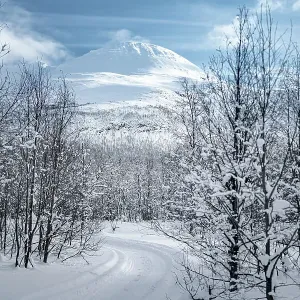 Empty snowy road into a frozen forest, Lyngen Alps, Tromso, Troms og Finnmark, Norway Empty snowy road into a frozen forest, Lyngen Alps, Tromso, Troms og Finnmark, Norway