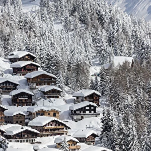 The snowy woods frame the typical mountain huts Bettmeralp district of Raron canton