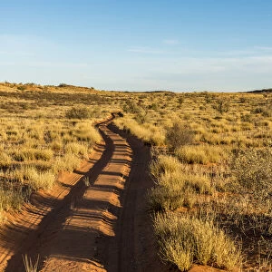 South africa, Kalahari Transfrontier Park. Road in the Park