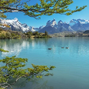 South America, Patagonia, Chile, Region de Magallanes y de la Antartica, Torres del Paine