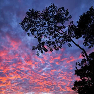 South America, Peru, Amazonia, South Manu National Park, Madre de Dos river at dawn