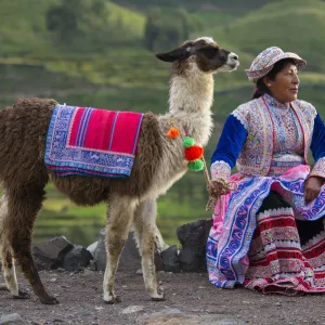 South America, Peru, Colca Canyon, local native woman with Lama