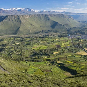 South America, Peru, Sabancaya, Chivay, andes valley at Chivay