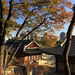 South Korea, Seoul, Changgyeonggung Palace
