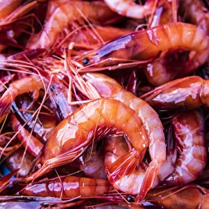 Spagna - Costa Brava - Food Joan Roca. Vaschetta di gamberi rossi appena pescati