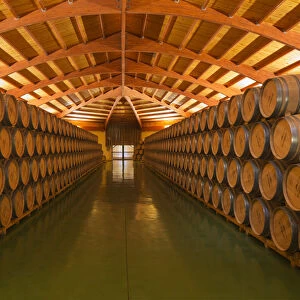 Spain, Alava, Laguardia. A barrel room at Bodegas Campillo
