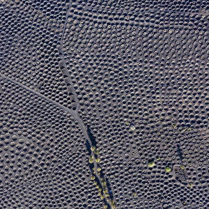 Spain, Canary Islands, Lanzarote, La Geria, aerial view over the Vineyards