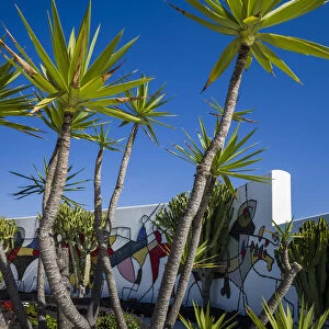Spain, Canary Islands, Lanzarote, Tahiche, Fundacion Cesar Manrique, outdoor patio