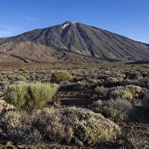Spain, Canary Islands, Tenerife, Volcanic landscape in the Teide National Park