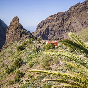 Spain, Canary Islands, Tenerife Island, Masca, elevated village view, morning