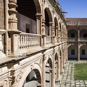 Spain, Castile and Leon, Salamanca, Archbishop Fonseca College, The cloister