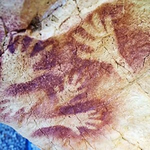 Spain, Cave of Altimira, rock art paintings of animals, Unesco site
