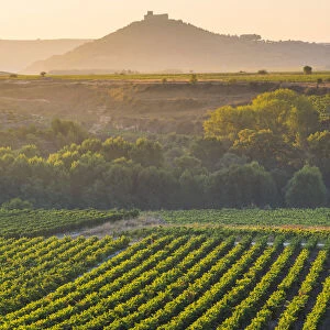 Spain, La Rioja. Vineyards at sunrise and Davalillo Castle in the background