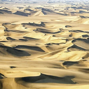 The spectacular dunes of the Namib, a coastal desert in southern Africa