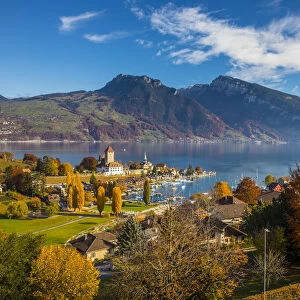 Speiz, Lake Thun, Berner Oberland, Switzerland