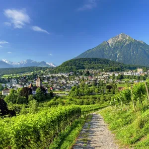 Spiez Castle, vineyards and Niesen mountain, Spiez, Canton of Bern, Switzerland Spiez Castle, vineyards and Niesen mountain, Spiez, Canton of Bern, Switzerland